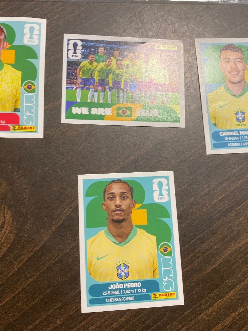 Panini World Cup 2026 soccer stickers